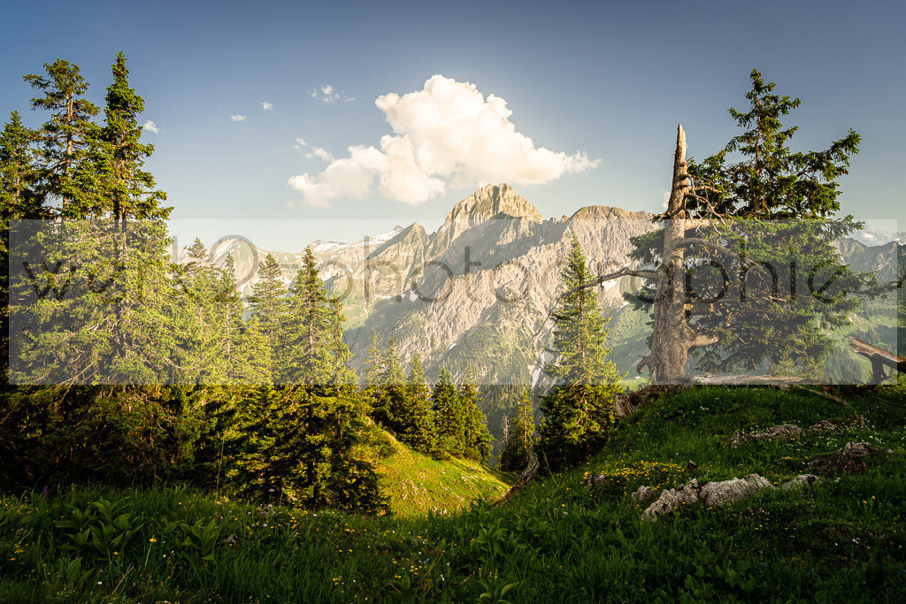 Die Höfats. | Vom Ufer des Seealpsees gibt es einen wundervollen Blick auf die Höfats.