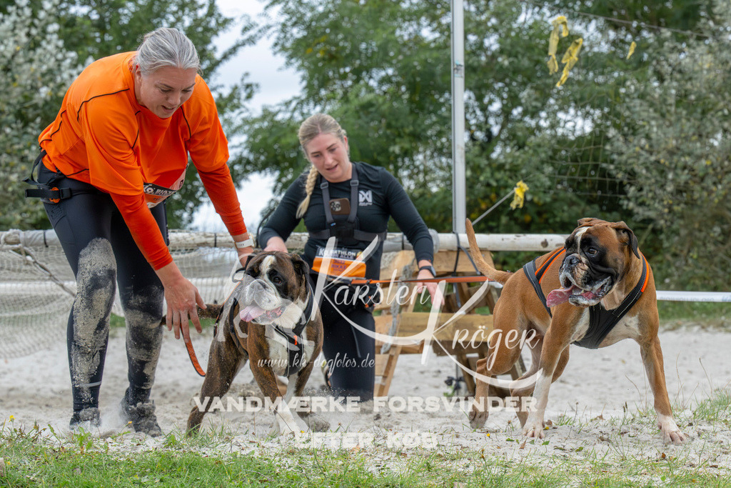 1041_ZZ94946 | kk-dogfotos