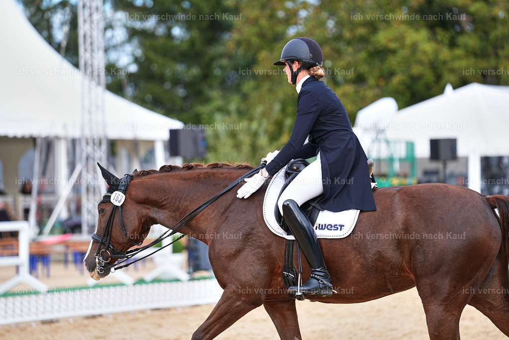 6-163-AMATUER-DRESSUR S_  -Marixx-3710 | working equitationturnier fotograf videograf stoibphotography marixx film working equitation deutschland reitsport turnierfotografie eventfotografie equestrian events