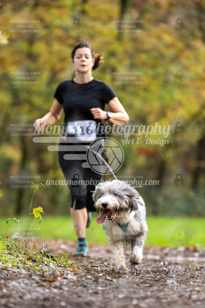 MompixPhotography_Bischwiller23_Canicross-93 | PayLife