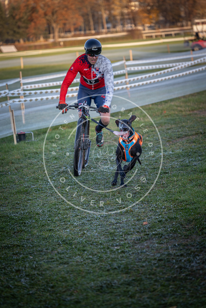CaniXpix_0L8A1544 | Hundefotografie, Tierfotograf, Pfotenfotografie, Fotoshooting Hund, Hunde Portrait, Hundesport, Hundeportraits, Heideshooting, Hunde, Sportfotograf, Hundefotograf, Turnierhundsport, THS,  - Realisiert mit Pictrs.com