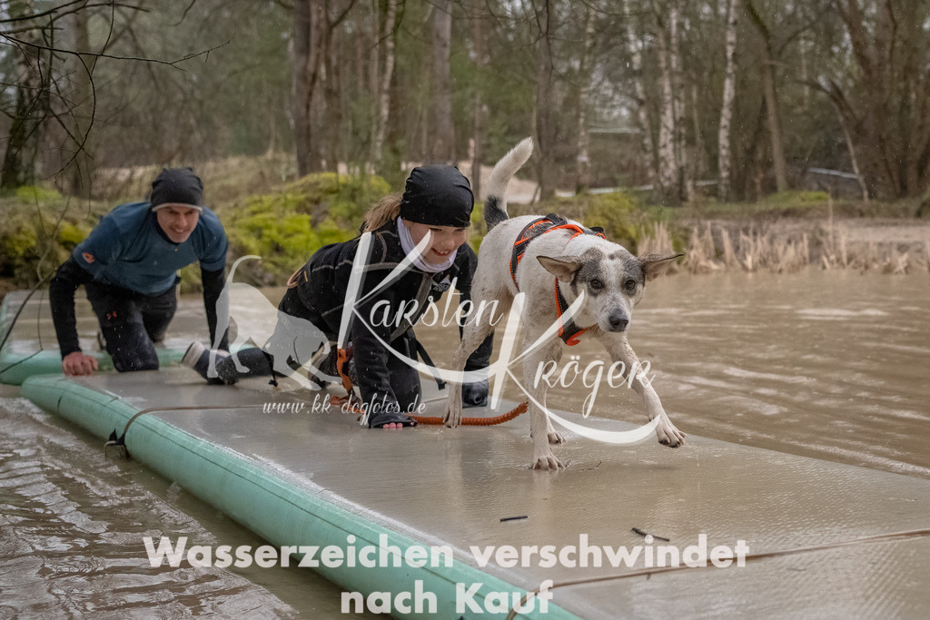 1059_ZZ93989-Bearbeitet | kk-dogfotos