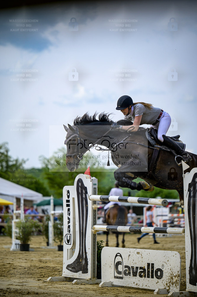 Reitturnier Lienen | Entdecke hochwertige Reitturnierfotos von Foto Oger. Professionell, emotional und authentisch – jetzt Lieblingsmomente im Shop bestellen. - Realisiert mit Pictrs.com