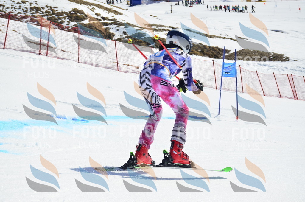 _ELE0421 | holidayphoto