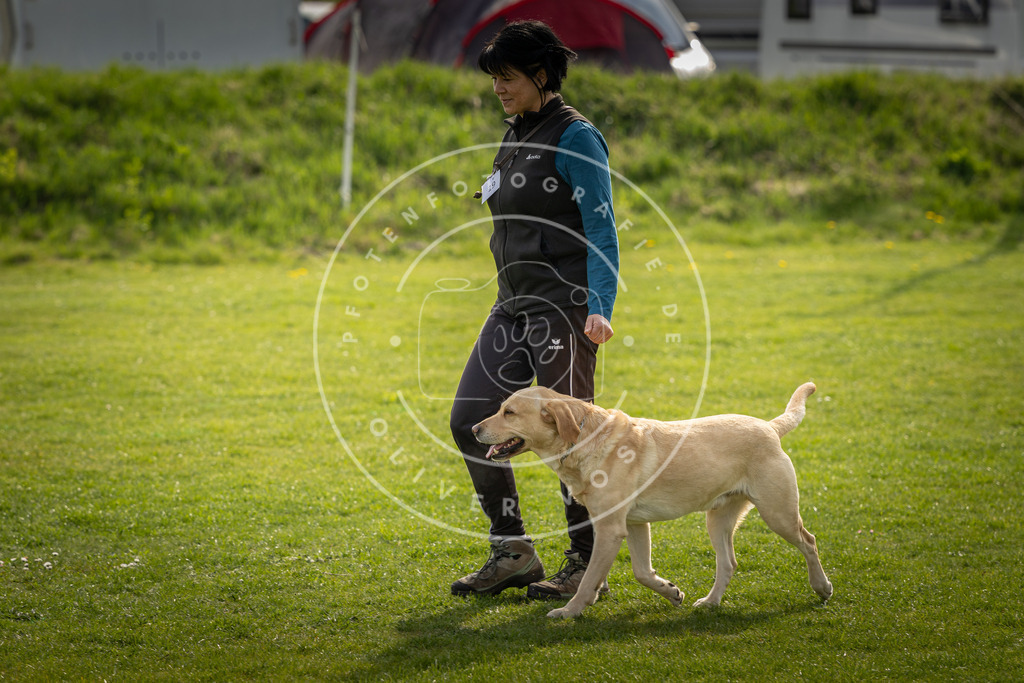 Pfotenfotografie_DV3A4992 | Hundefotografie, Tierfotograf, Pfotenfotografie, Fotoshooting Hund, Hunde Portrait, Hundesport, Hundeportraits, Heideshooting, Hunde, Sportfotograf, Hundefotograf, Turnierhundsport, THS,  - Realisiert mit Pictrs.com