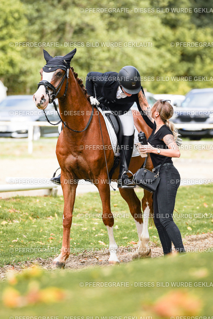 DSC03348 | Pferdegrafie