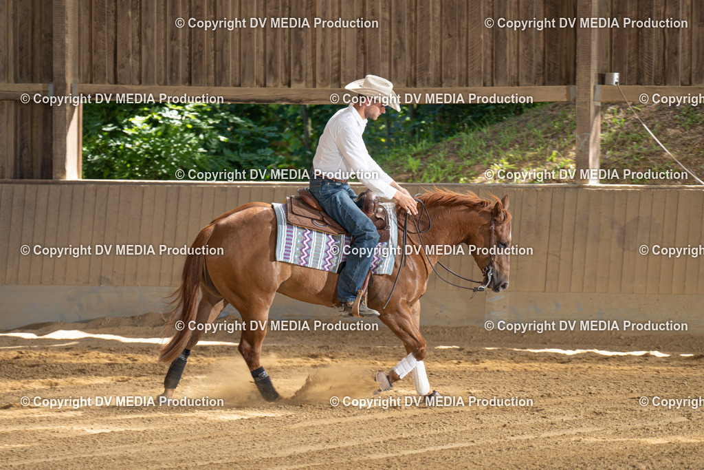 DSC00337 | dv-media-shop - Realisiert mit Pictrs.com