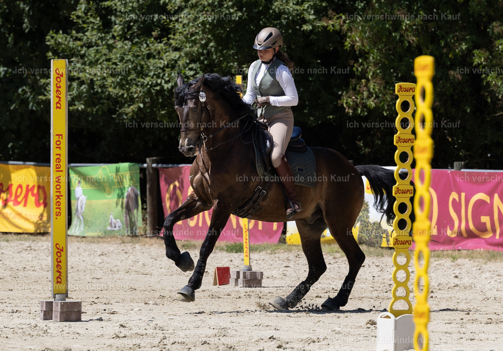 WM_Junioren_Speed_131_KerstinBernhardt-2 | working equitationturnier fotograf videograf stoibphotography marixx film working equitation deutschland reitsport turnierfotografie eventfotografie equestrian events