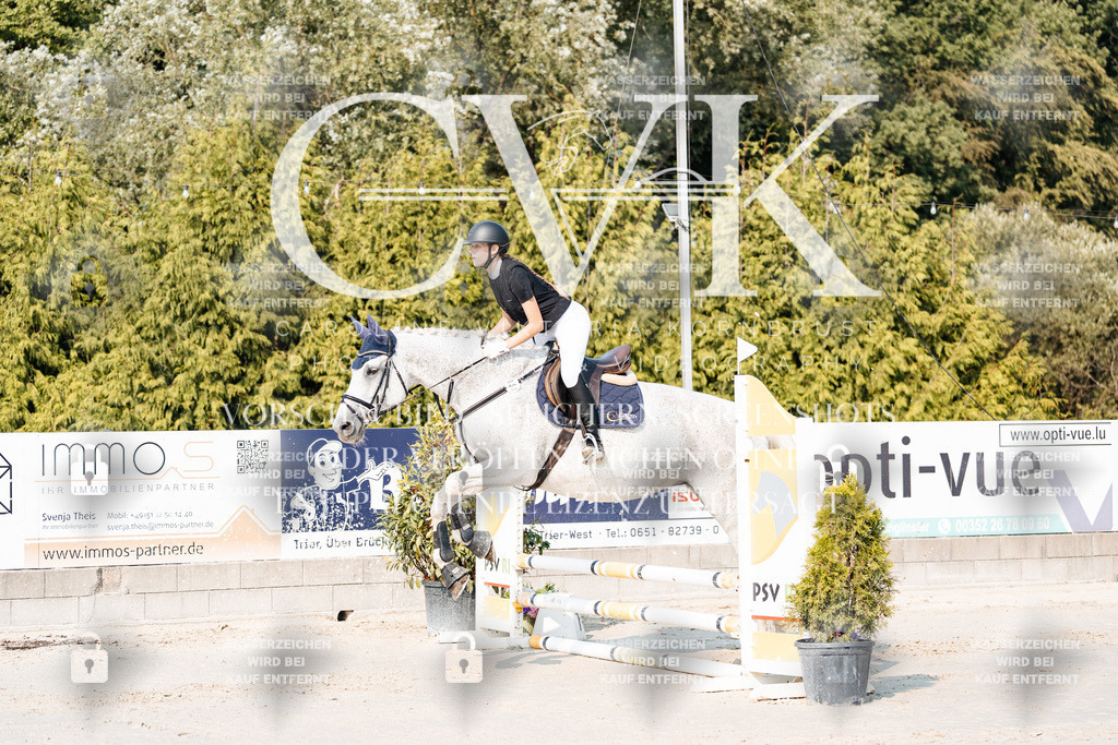 CK902683 | Turnierfotografie Pferdefotografie Trier Rheinland-Pfalz Pferdesport Reitsport Tierfotografie Sportfotografie Pferdevideo Pferdevideografie Equestrianvideography equestrianphotography  - Realisiert mit Pictrs.com