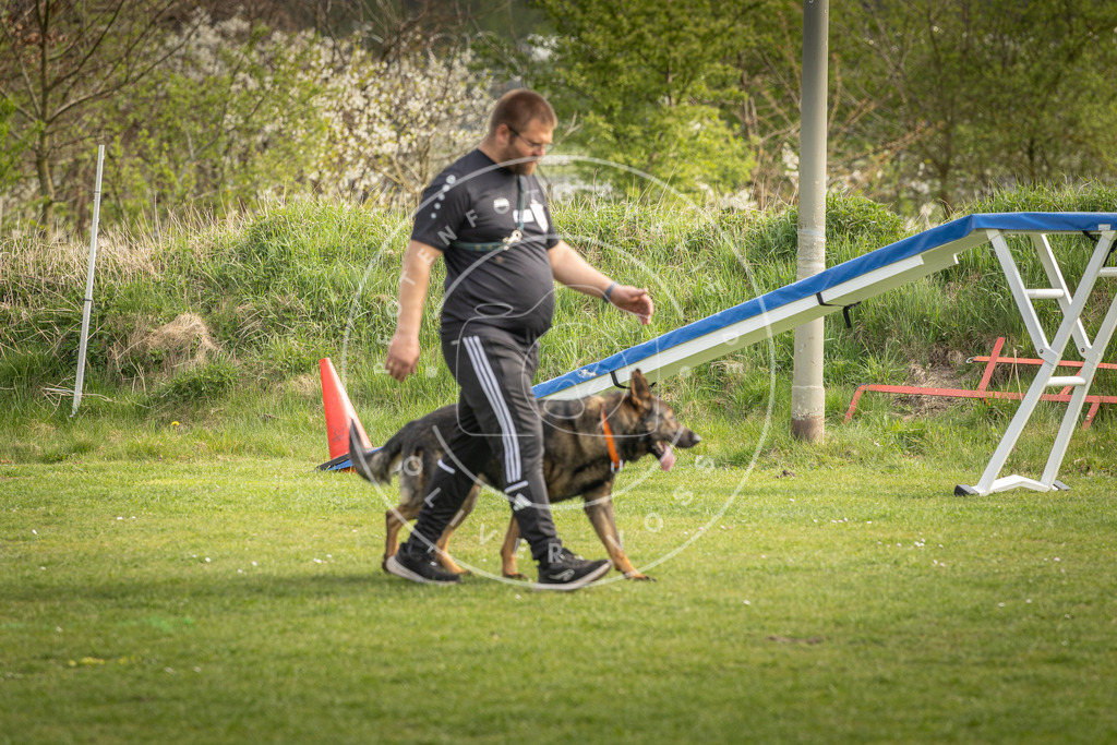 Pfotenfotografie_DV3A5022 | Hundefotografie, Tierfotograf, Pfotenfotografie, Fotoshooting Hund, Hunde Portrait, Hundesport, Hundeportraits, Heideshooting, Hunde, Sportfotograf, Hundefotograf, Turnierhundsport, THS,  - Realisiert mit Pictrs.com