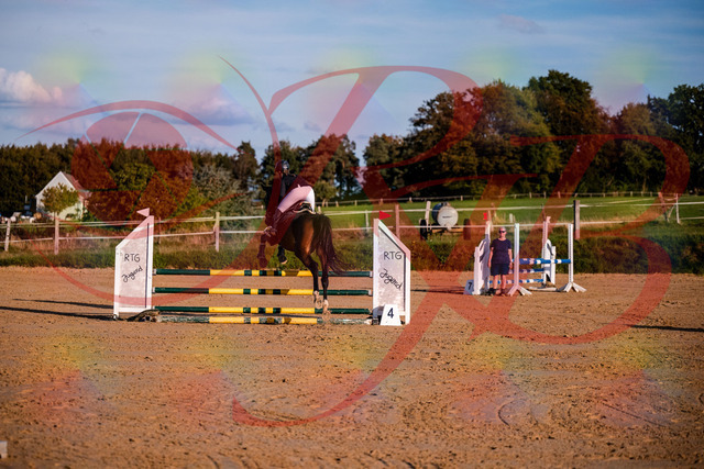 2026_10_03_Siefer-Hof_171027_Z81_07177856 | Professionelle Reitsport-, Turnier- und Eventfotografie von Robert Broda. Galerien mit ausgewählten und bearbeiteten Bildern direkt online ansehen und bestellen.