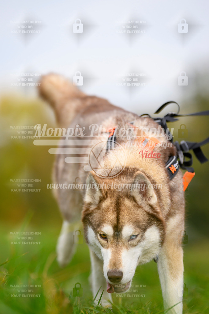 MompixPhotography_CDLBDB2025_DI_CC-163 | PayLife