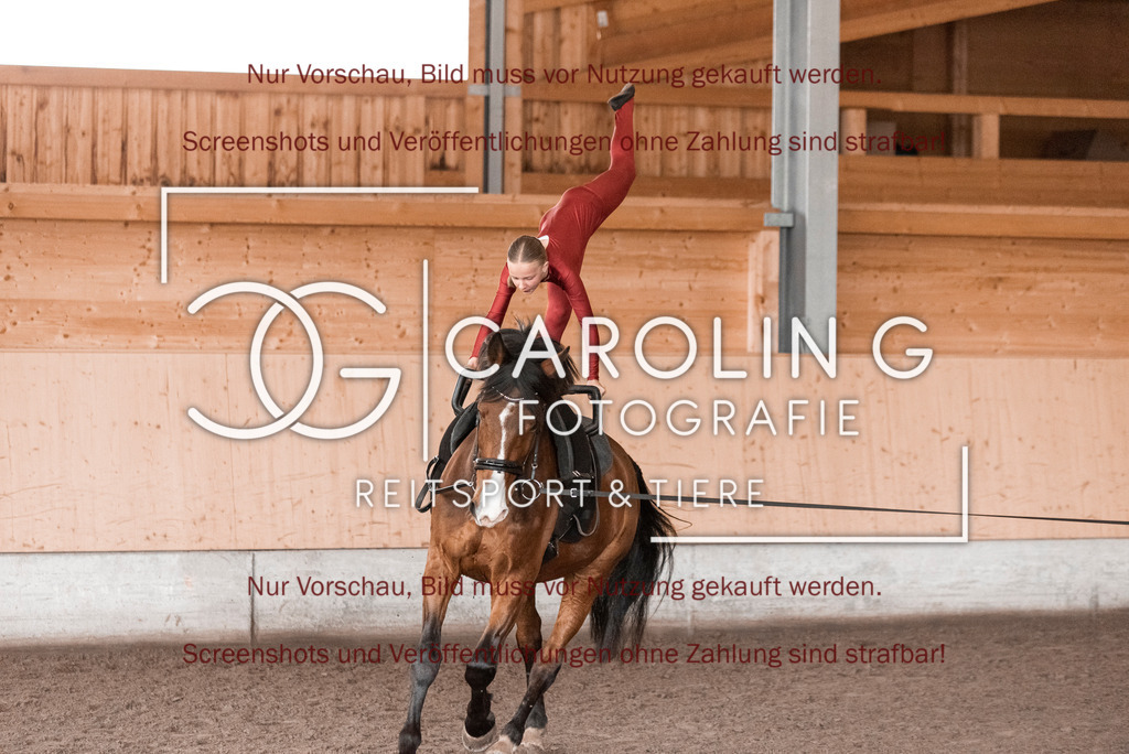 DSC_2013 | Turnierfotografin Carolin Gieschke,Reitsport Turnierfotografie Carolin G Fotografie | Turnierfotos aus Kirchheim/Teck, Esslingen, Stuttgart und dem Bodenseekreis