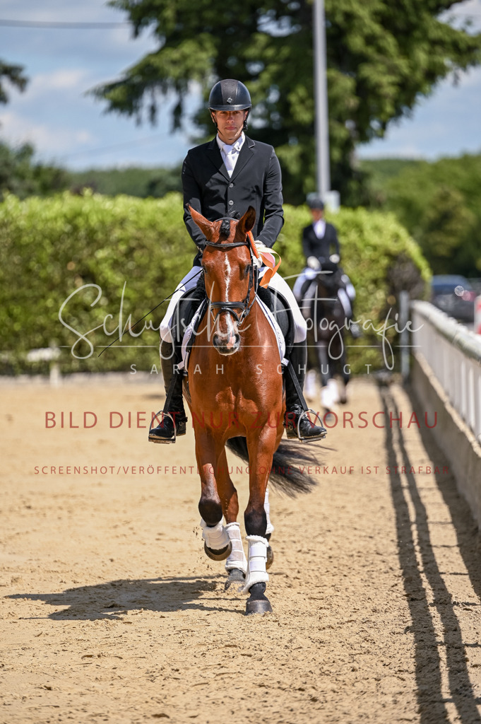 Schugtsche-Aluta25-48.Reitpferfdeprf.-324 | Schugtsche Fotografie - Realisiert mit Pictrs.com