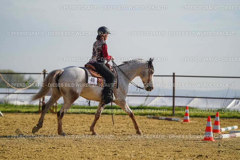 DSC00833 | Pferdegrafie