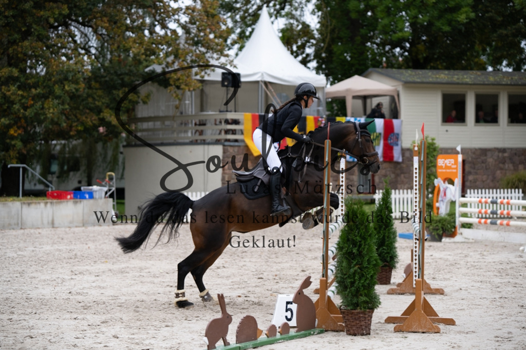 A7V08110 | Pferdefotograf