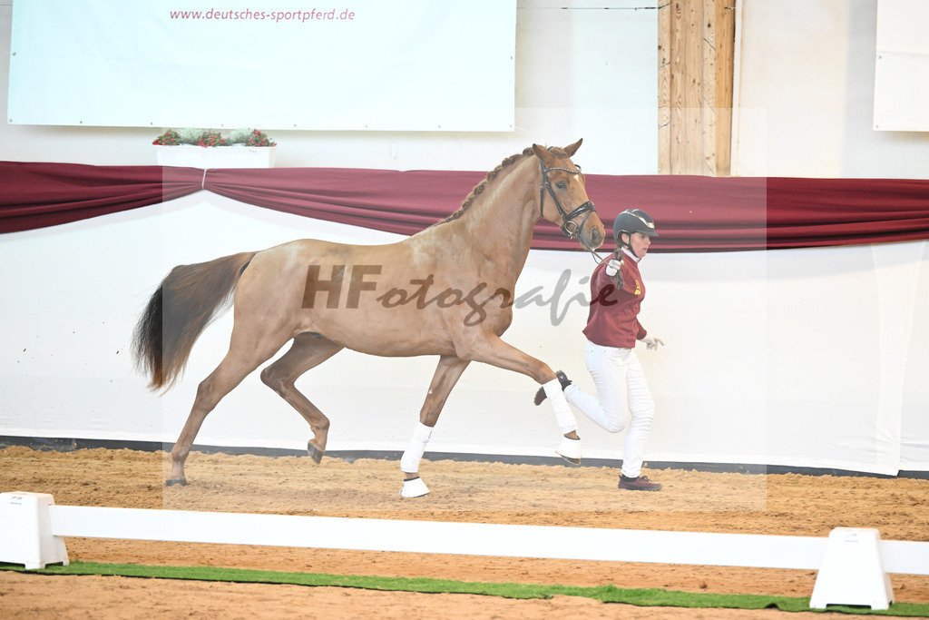 Kat-Nr. 52 v. Vaderland_Galneder_66220712 | hf-fotografie - Realisiert mit Pictrs.com