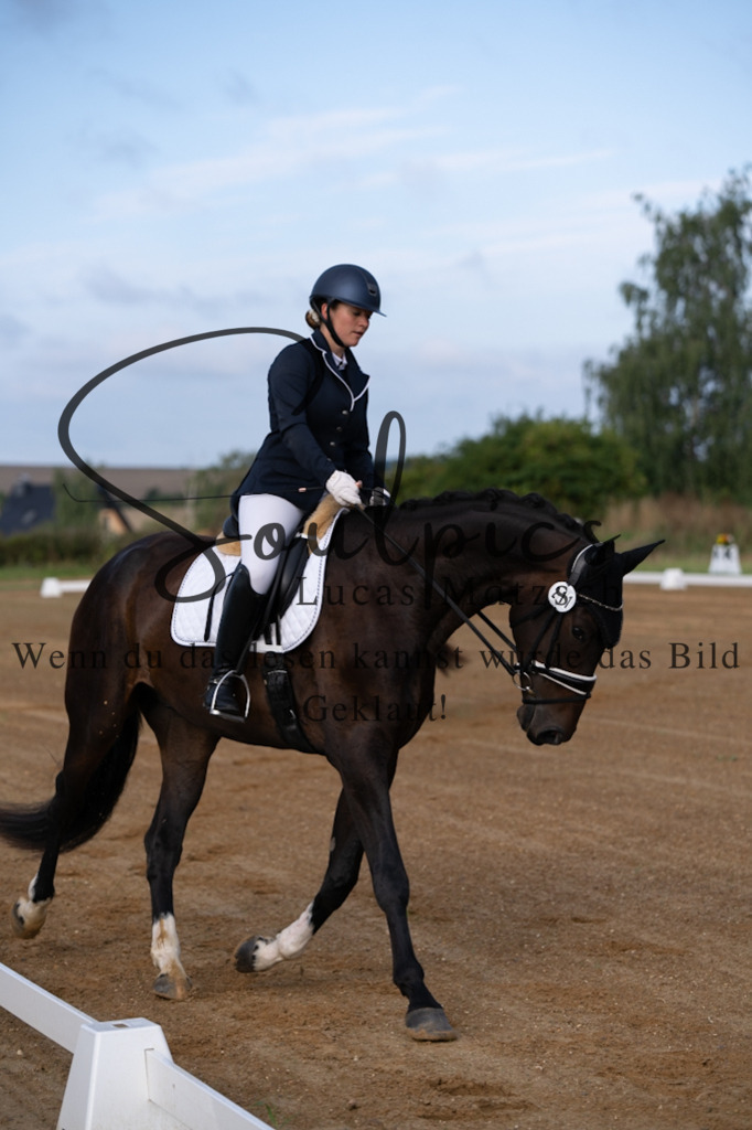 A7V03655 | Turnier/Reitfotograf