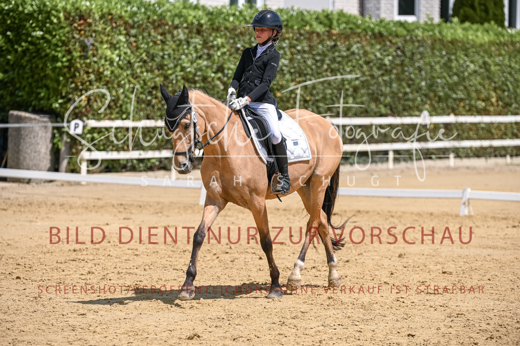 Schugtsche-Aluta25-53.Amat.Dressurprf.A2-387 | Schugtsche Fotografie - Realisiert mit Pictrs.com