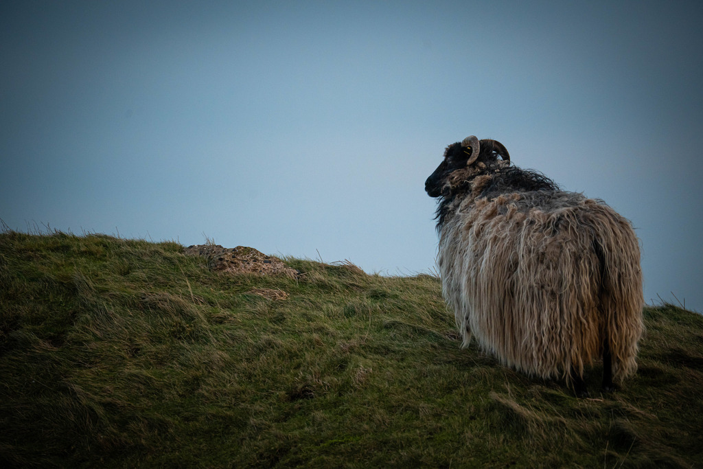 DSC03847 | <meta name="keywords" content="Bergbilder, Hochzeitsfotografie, Actionshootings, Fotografiearbeiten, Berglandschaften, Naturfotografie">

 - Realisiert mit Pictrs.com