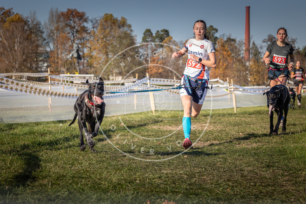 CaniXpix_0L8A8357 | Hundefotografie, Tierfotograf, Pfotenfotografie, Fotoshooting Hund, Hunde Portrait, Hundesport, Hundeportraits, Heideshooting, Hunde, Sportfotograf, Hundefotograf, Turnierhundsport, THS,  - Realisiert mit Pictrs.com