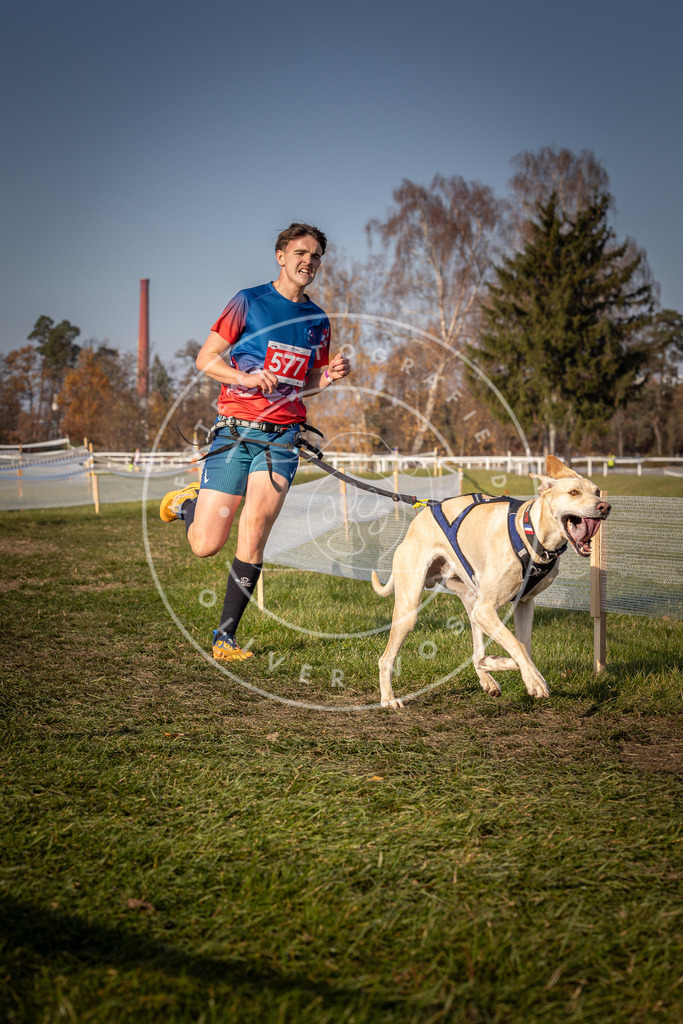 CaniXpix_0L8A9523 | Hundefotografie, Tierfotograf, Pfotenfotografie, Fotoshooting Hund, Hunde Portrait, Hundesport, Hundeportraits, Heideshooting, Hunde, Sportfotograf, Hundefotograf, Turnierhundsport, THS,  - Realisiert mit Pictrs.com