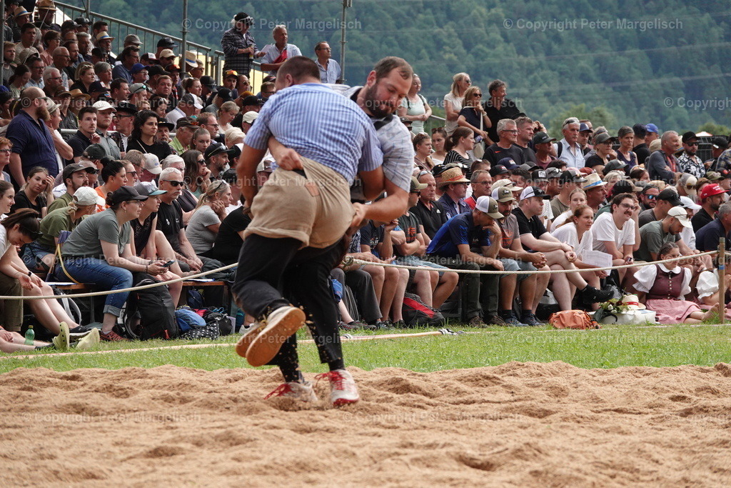 DSC01317 | Schwingen - Realized with Pictrs.com