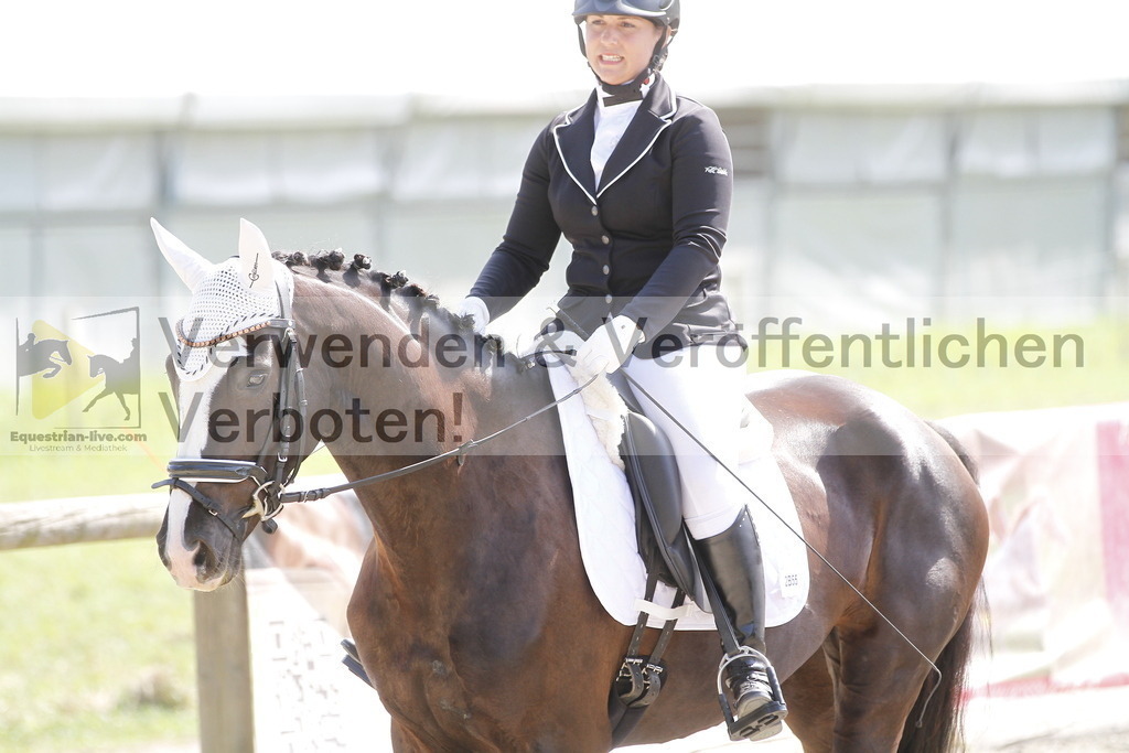 _MG_2101 | equestrian-live-com