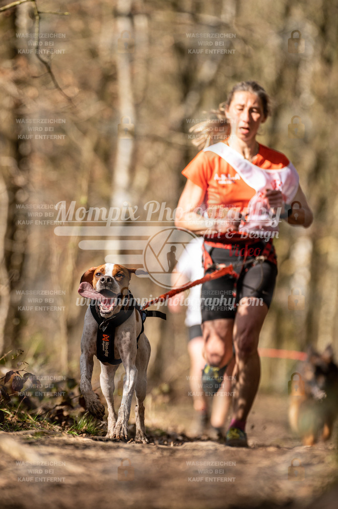 SPA_2023_SAM_CCK-153 | PayLife