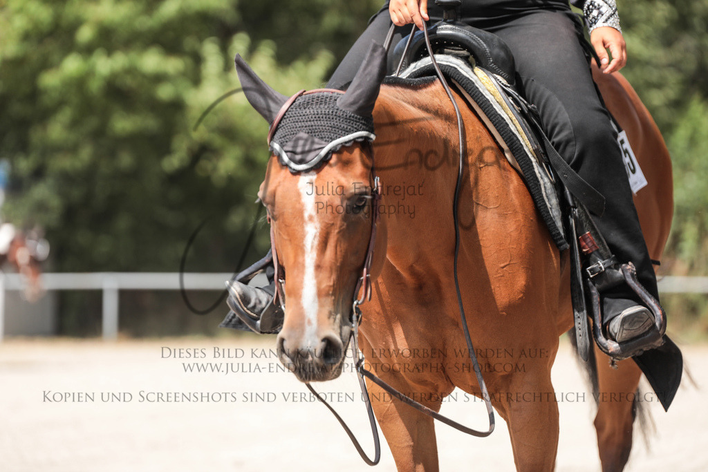 20230702-JuliaEndrejatPhotography-1064 | Julia Endrejat Photography