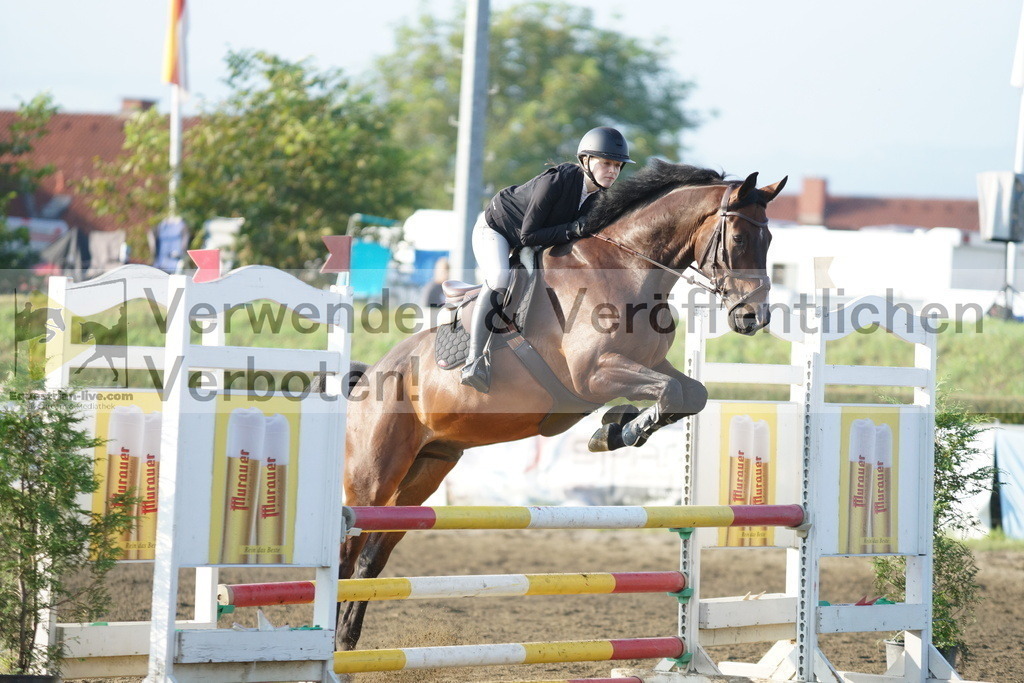 DSC02710 | equestrian-live-com