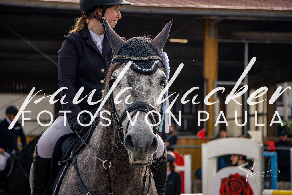 IMG_4534 | Erleben Sie dynamische Sport- und emotionale Tierfotografie in Süddeutschland mit Fotos von Paula. Spezialisiert auf Pferde- und Hundefotografie sowie Sportevents. Kontaktieren Sie mich für einzigartige und ausdrucksstarke Bilder Ihrer besonderen Momente. - Realisiert mit Pictrs.com