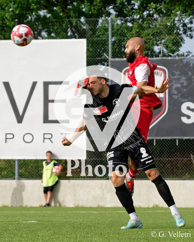 DSC_9506 | Velletri Photo