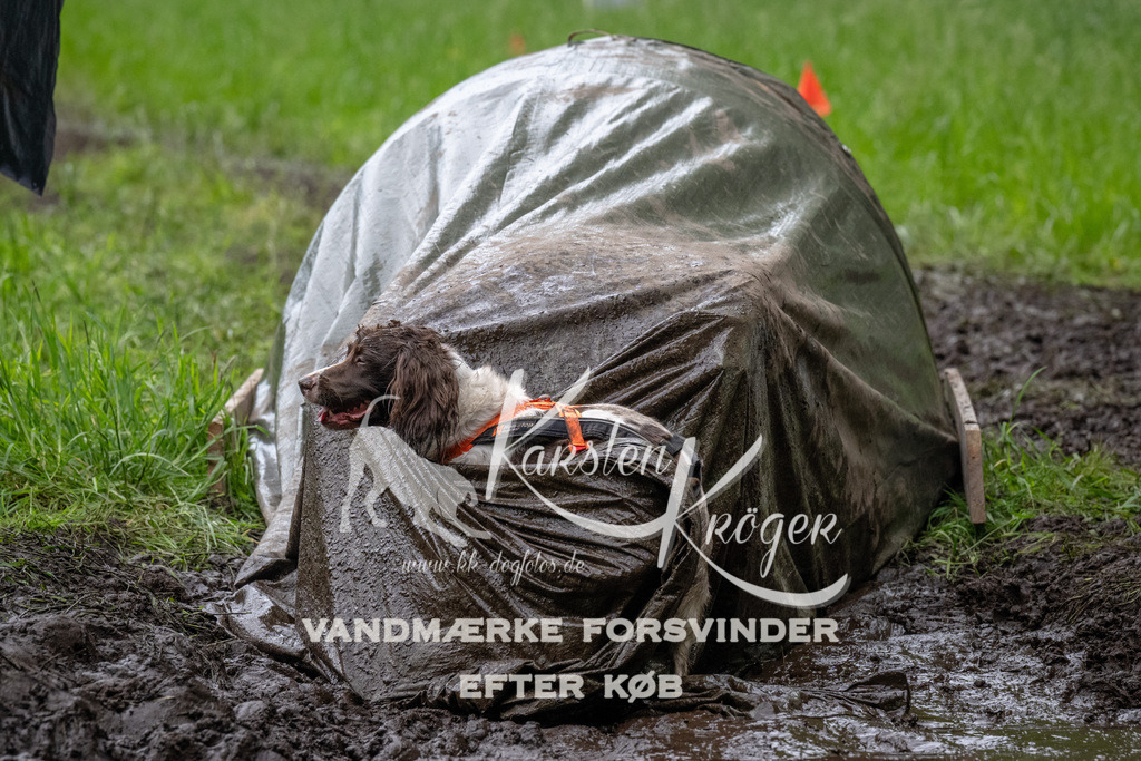 1642_ZZ90124 | kk-dogfotos