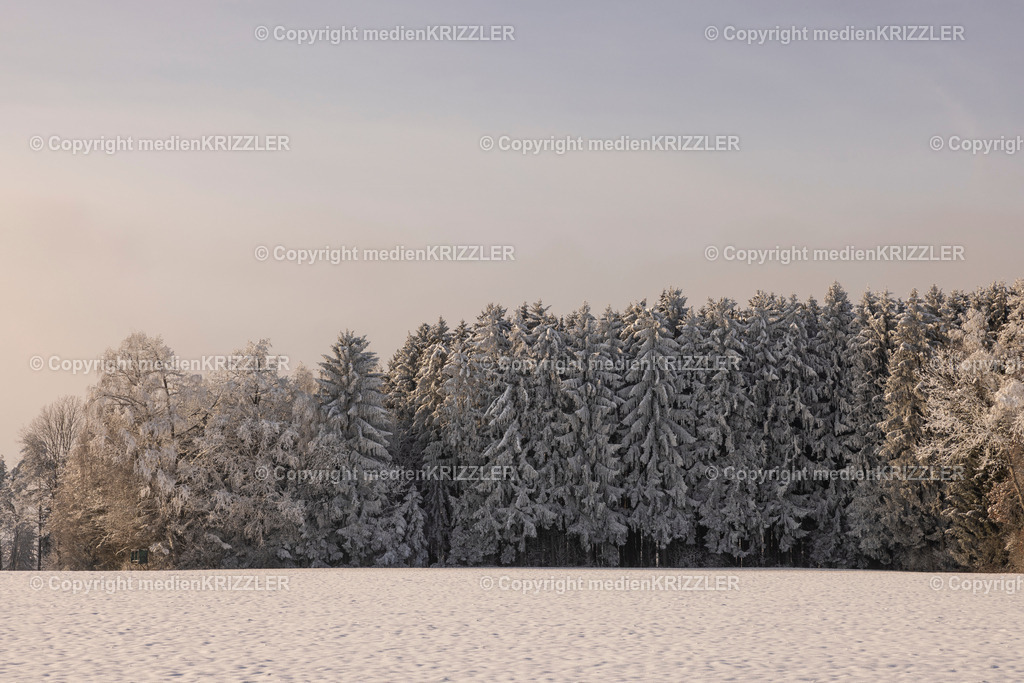 _J3A9666 | medienkrizzler - Realisiert mit Pictrs.com