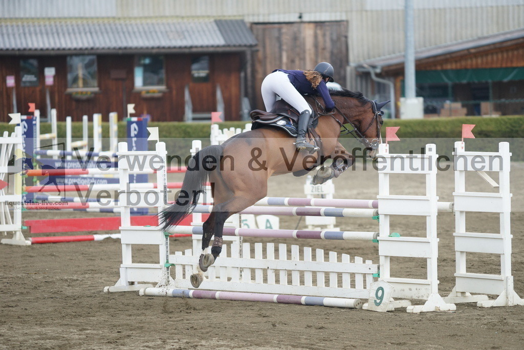 DSC01083 | equestrian-live-com