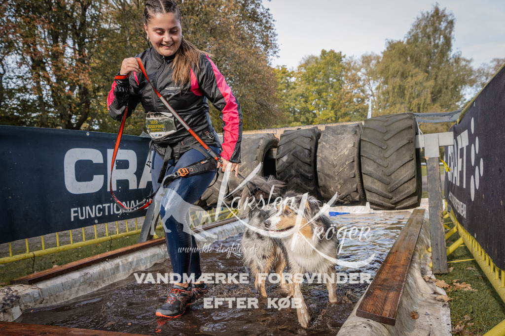 1423_ZZ94472 | kk-dogfotos