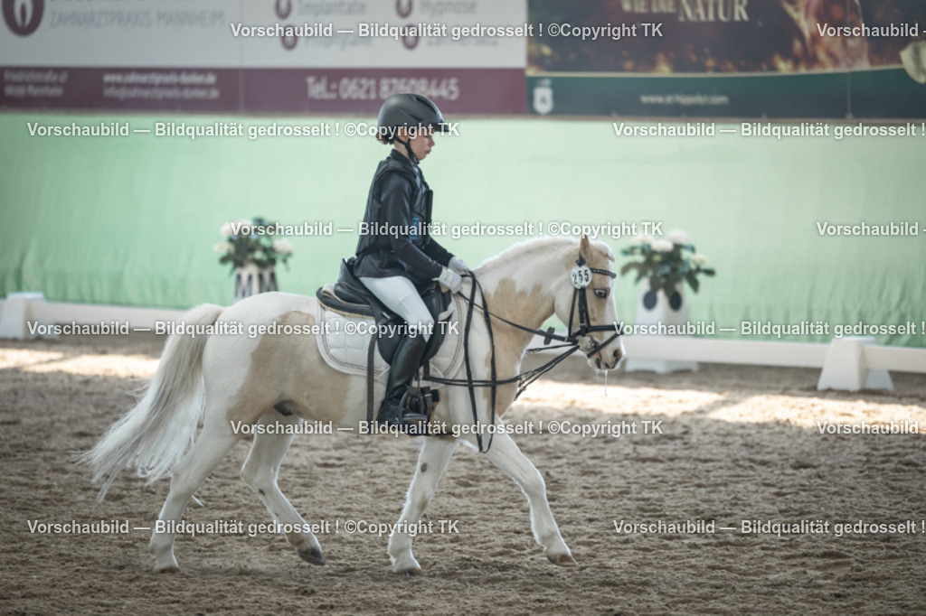 _D5A8812 | Emotionale Pferde- & People-Fotografie rund um Heidelberg, Leimen & Umgebung. Natürliche Fotos von Pferd, Mensch & Familie. Jetzt Termin sichern!