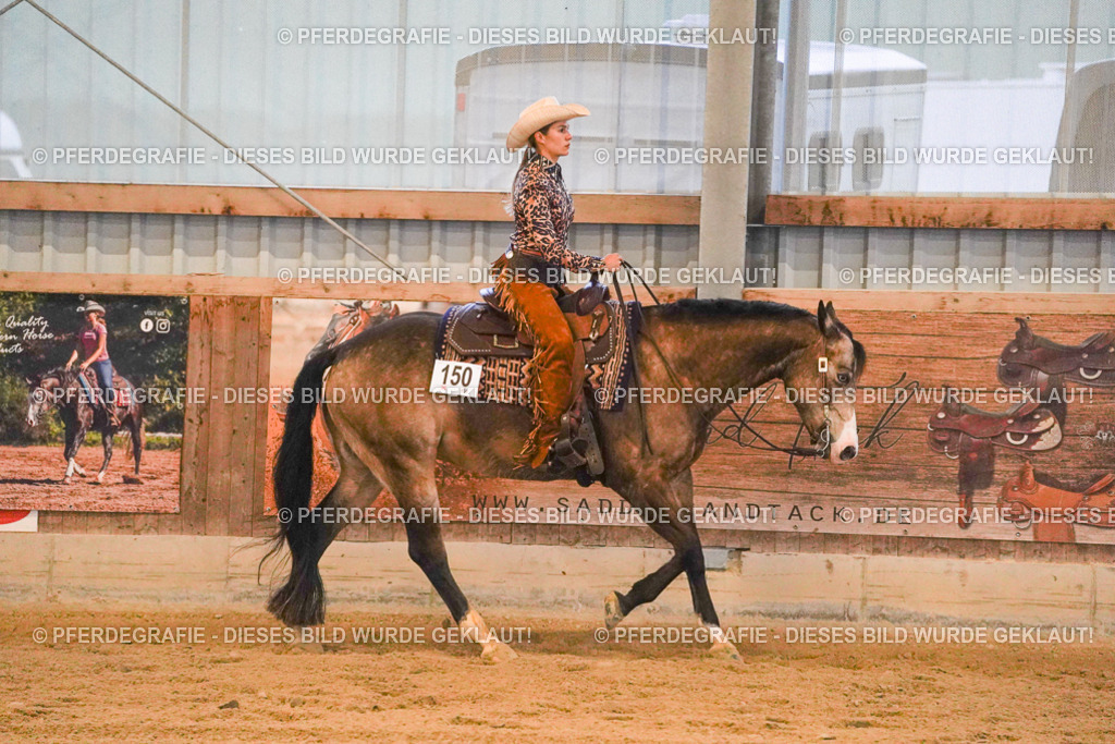 DSC08648 | Pferdegrafie