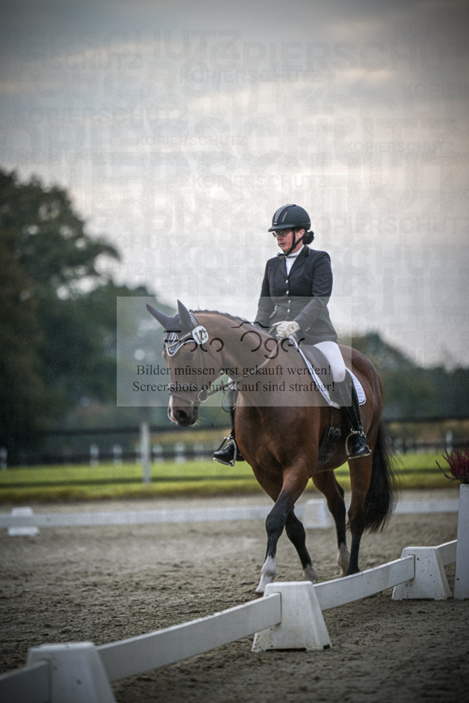 DOS_1202 | Entdecke hochwertige Reitturnierfotos von Foto Oger. Professionell, emotional und authentisch – jetzt Lieblingsmomente im Shop bestellen.Deutschlandweite Turnierfotografie. - Realisiert mit Pictrs.com