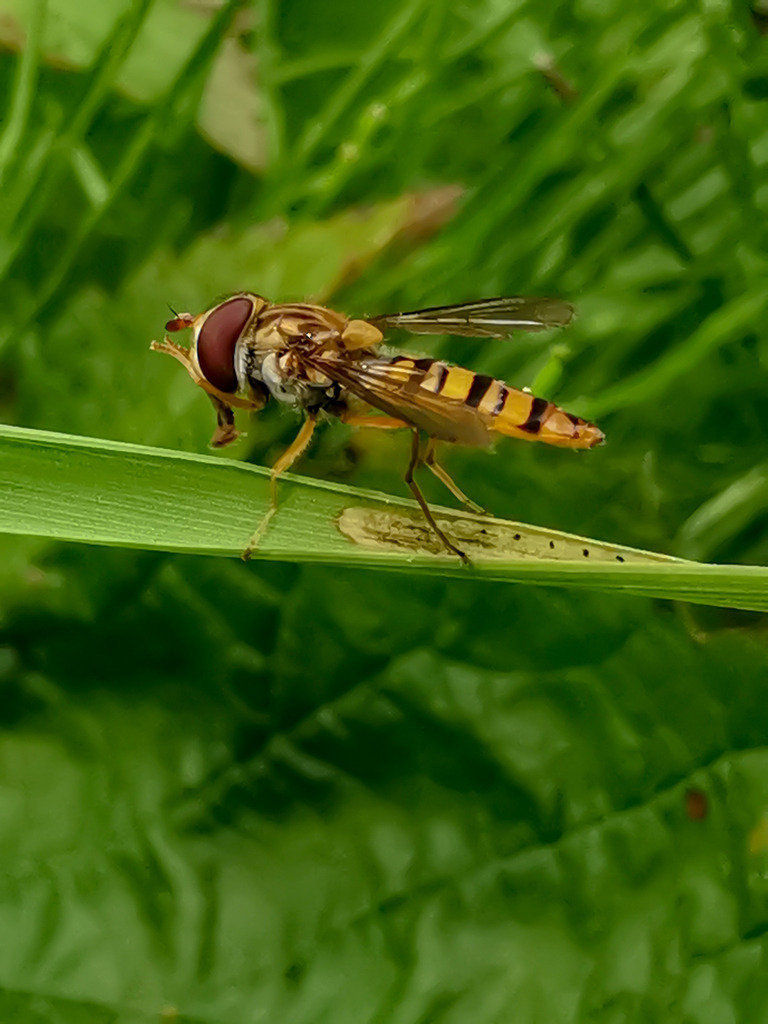 PSX_20230825_232351 | mtkfoto_ - Realisiert mit Pictrs.com