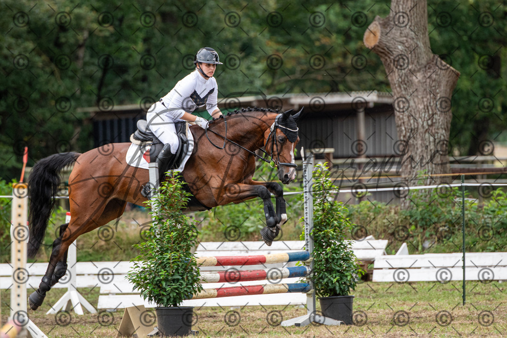 SHT_7608 | andre_photographic