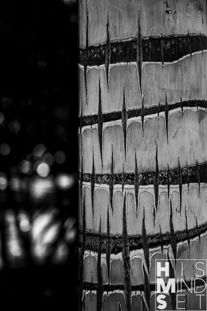 EMWE | Sichere dir dein Lieblingsbild von HISMINDSET als Print für dein Zuhause oder das Büro! - Realisiert mit Pictrs.com