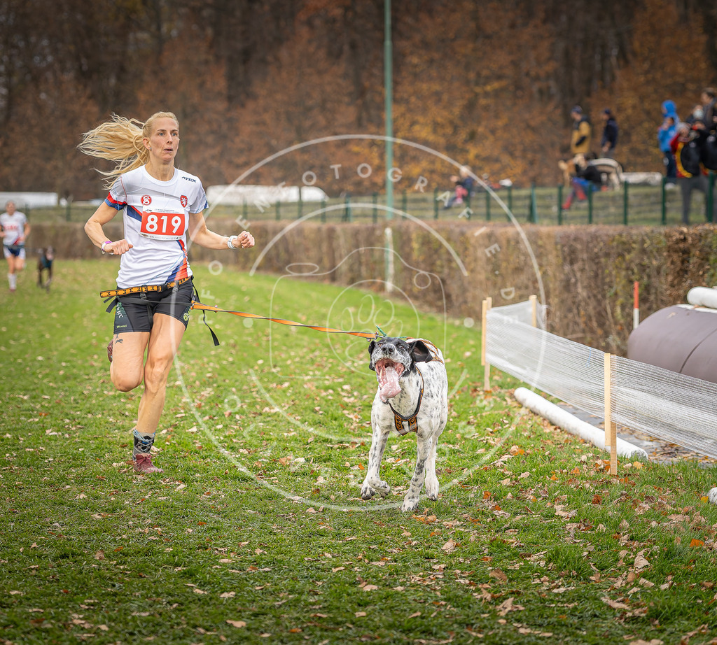 CaniXpix_DV3A6261 | Hundefotografie, Tierfotograf, Pfotenfotografie, Fotoshooting Hund, Hunde Portrait, Hundesport, Hundeportraits, Heideshooting, Hunde, Sportfotograf, Hundefotograf, Turnierhundsport, THS,  - Realisiert mit Pictrs.com