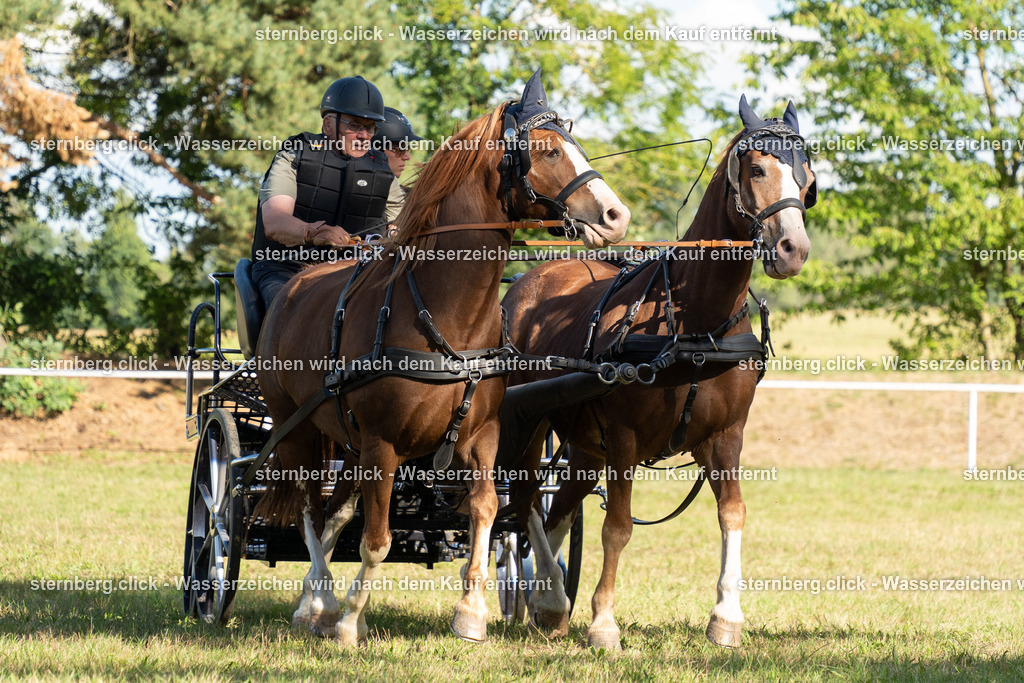 2026-08-29_15-32-56_sternberg.click_WBO-Diera | sternberg.click - Realisiert mit Pictrs.com