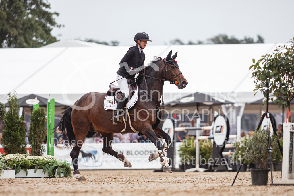 240906_BuCha_GP-620 | Deine schönsten Turniermomente als professionelle Fotos! Entdecke hochwertige Pferdesport-Fotografie im Online-Shop. Jetzt Fotos finden & bestellen!