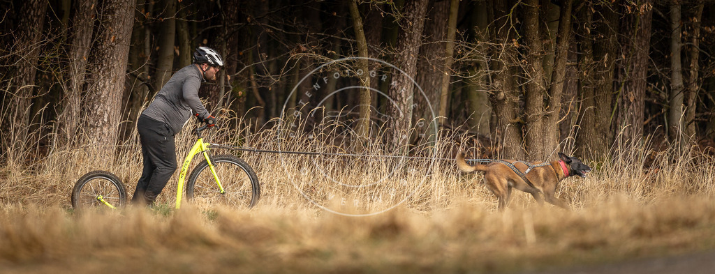 DV3A3585 | Hundefotografie, Tierfotograf, Pfotenfotografie, Fotoshooting Hund, Hunde Portrait, Hundesport, Hundeportraits, Heideshooting, Hunde, Sportfotograf, Hundefotograf, Turnierhundsport, THS,  - Realisiert mit Pictrs.com