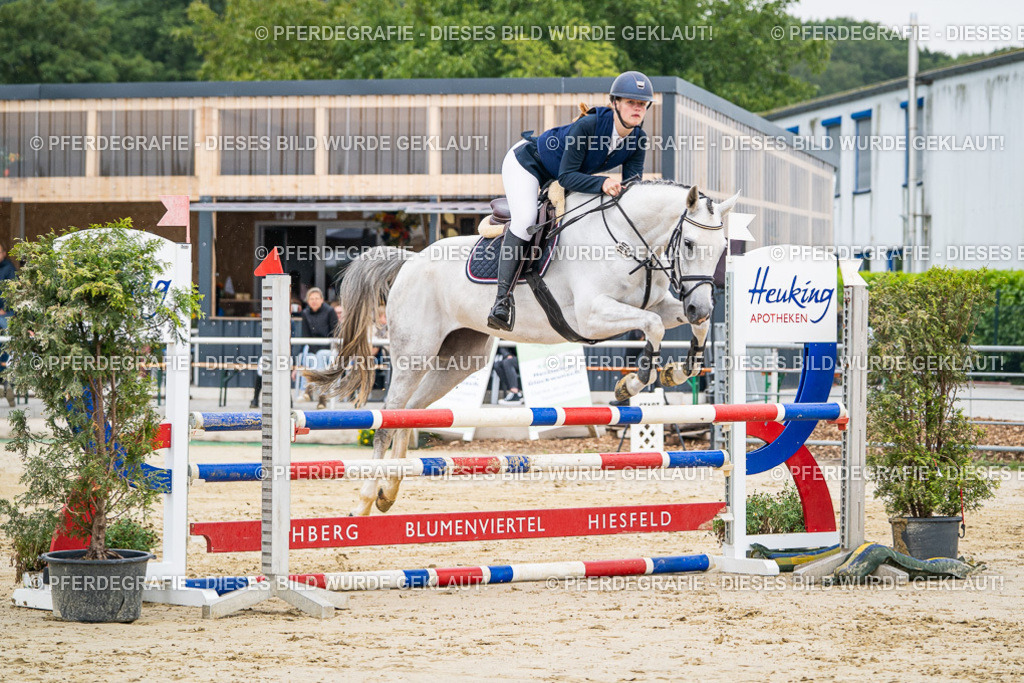 DSC09714 | Pferdegrafie