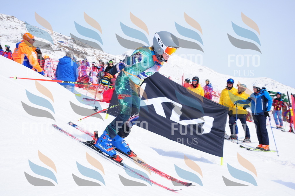 DSC_2395 | holidayphoto