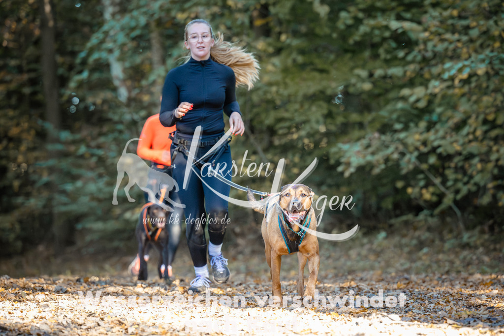 1002_ZZ99072 | kk-dogfotos